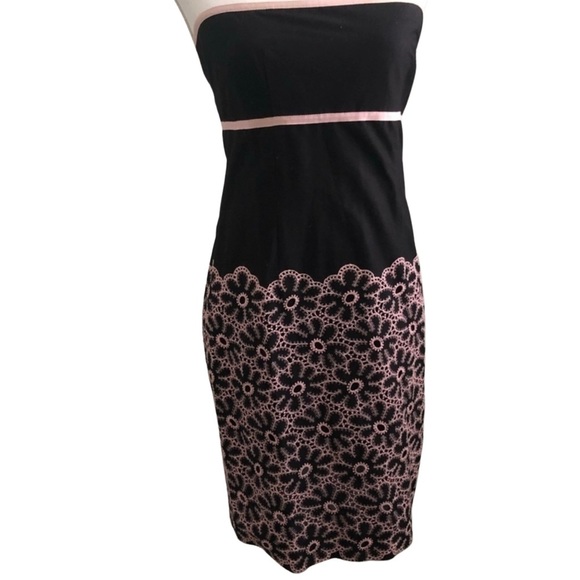 Anthropologie Cynthia Steefe Baby Doll Strapless Dress Brown Pink SZ Medium EUC - Picture 1 of 6